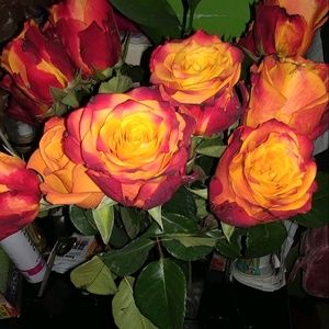 Meet your Posher, Sherol